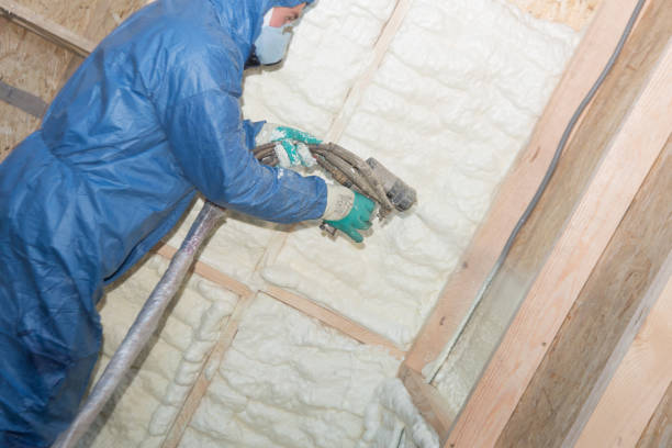 Best Basement Insulation  in Greentree, NJ